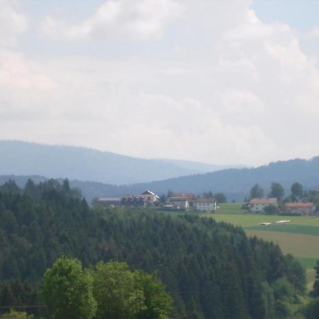 Ferienwohnung Rachel Mit Herrlichem Ausblick Rinchnach المظهر الخارجي الصورة